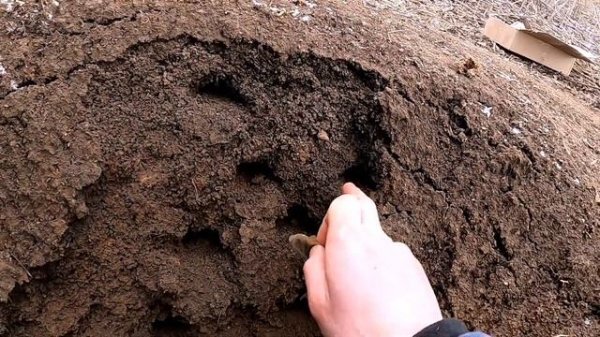 НОВЫЙ Квазар АРМ обзор и тест на глубину