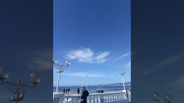 Квантовое самоубийство смотреть онлайн