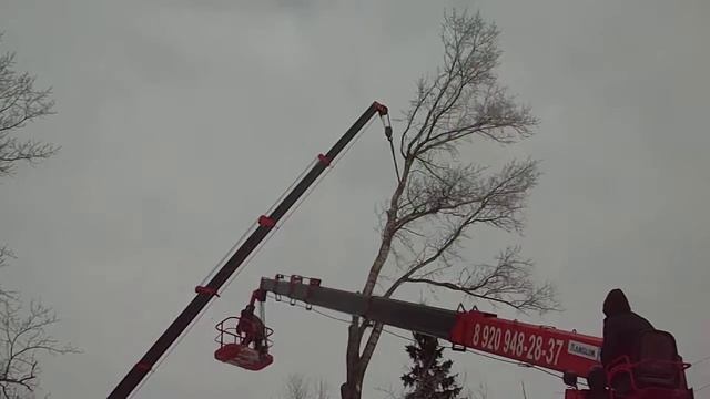 Пилим Тополя смотреть онлайн