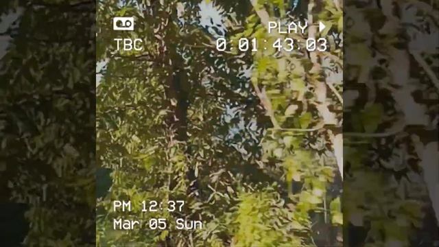 Drive Moa Moa | Lyric Video