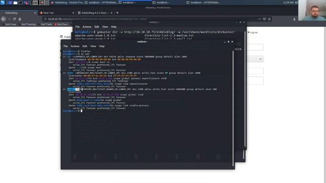 USW - NCSA Gavin Walkthrough HackTheBox Nibbles смотреть онлайн