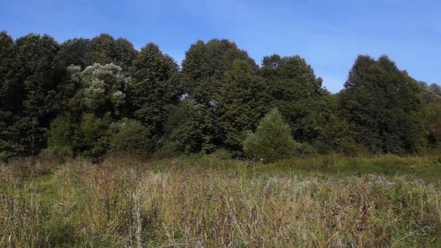 Эколого-краеведческая тропа микрорайона Турынино, Калуга смотреть онлайн