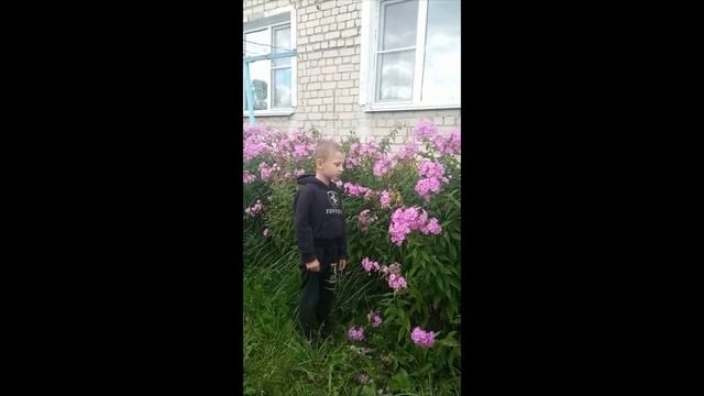 Стихотворение "Ромашка". Читает Бережной Виктор смотреть онлайн