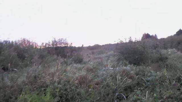 Охота на бобра!Мой САМЫЙ БОЛЬШОЙ БОБР!!!Стрелял В УПОР!!Лось 145. смотреть онлайн