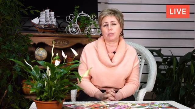 Нужно ли утаптывать снег вокруг плодовых деревьев? ? Прямой эфир смотреть онлайн