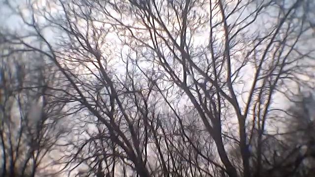 Eine Kleine Nachtmusik (by Mozart), классика Музыка без АП смотреть онлайн