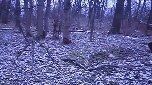 Охота на зайца с гончими!КЛАСС смотреть онлайн