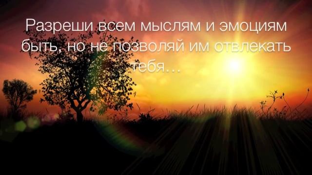 Активация Знание Янош смотреть онлайн
