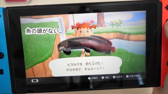 大人気のヴィレヴァン「チェキ福袋2022」を開封！【 こうじょうちょー 】 смотреть онлайн