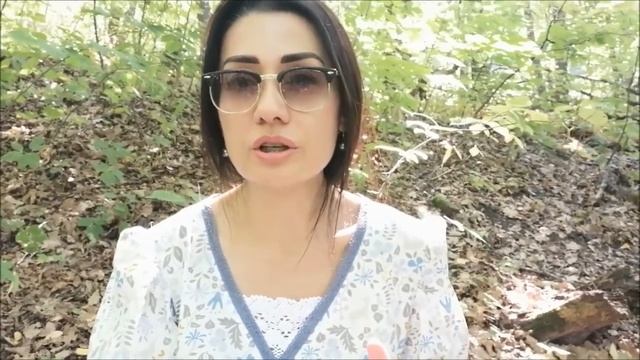 КУПИЛИ ЗАБРОШЕННЫЙ УЧАСТОК.СТРОИМ ДОМ. Забиваем сваи под фундамент. Сколько стоит? #фундамент #сваи