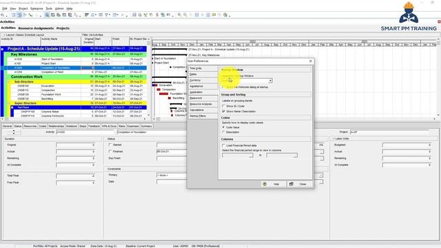 38. User Preferences in Primavera P6 смотреть онлайн