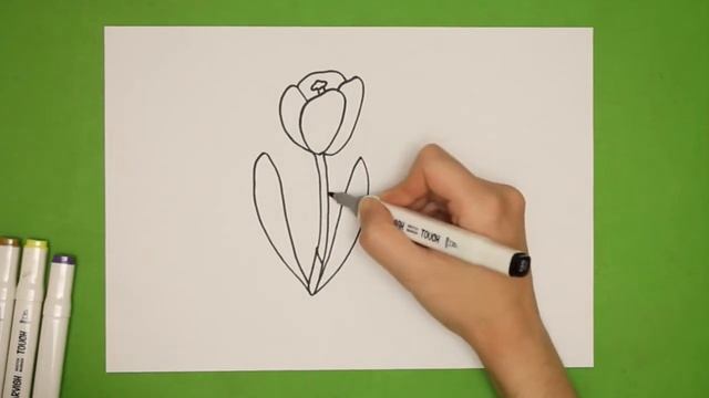 Как нарисовать цветущий крокус маркерами. Рисование шаг за шагом для начинающих смотреть онлайн