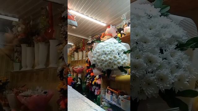 Пишний ,белоснежный большой букет из 13 хризантем💝 смотреть онлайн