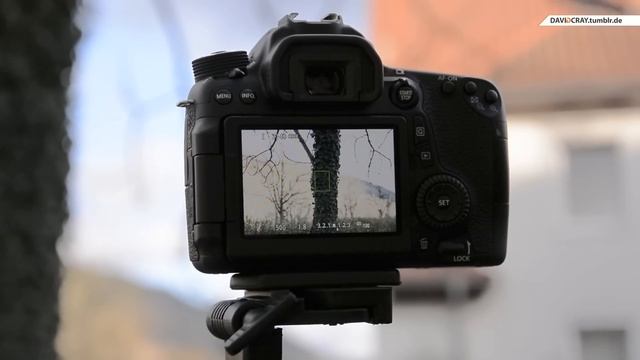 AF Problem der Canon EOS 70D - Das Wunderproblemkind | David Cray смотреть онлайн
