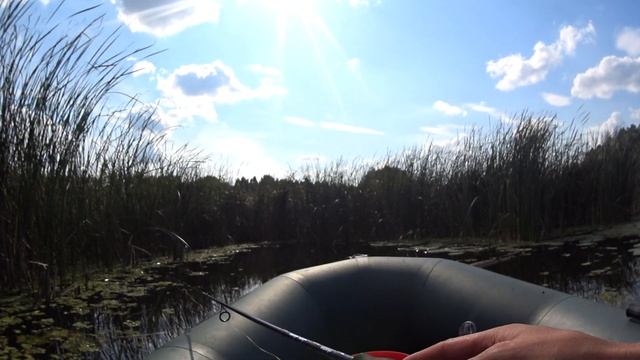 Попла-поппер - ловля красноперки спиннингом.Первый раз так ловлю.