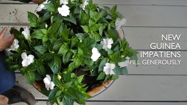 How to Design with Hanging Baskets смотреть онлайн