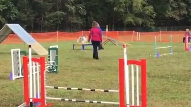 Java Master Standard CDTC Sunday Q смотреть онлайн