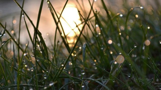 Не дари мне сережек рубиновых Муз Н.Первиной,ст И.Бариновой,поет Г.Погорельская . смотреть онлайн