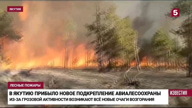 5 канал, Пожары в Якутии, 14 июня 2024 смотреть онлайн
