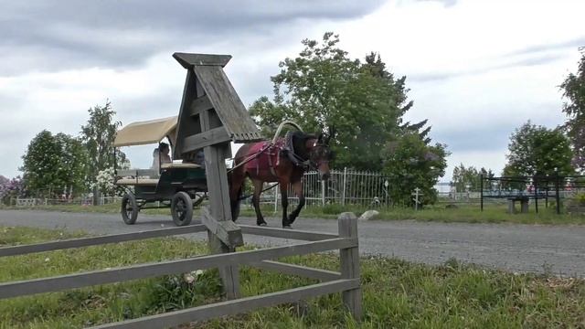 Заонежье по суше и по воде. Часть 3 смотреть онлайн