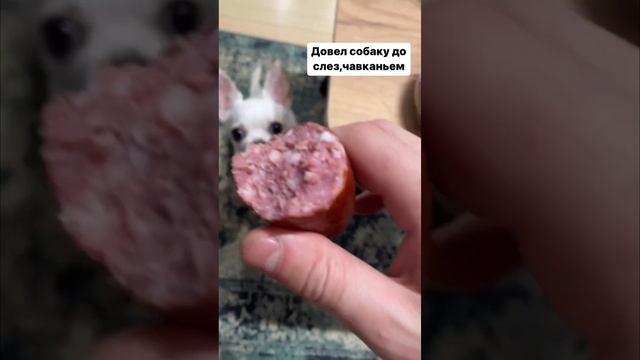 Инстасториз Samara Vlog.Что происходило вне ютуба. смотреть онлайн