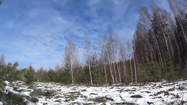 Нагонка 19 04 17 смотреть онлайн