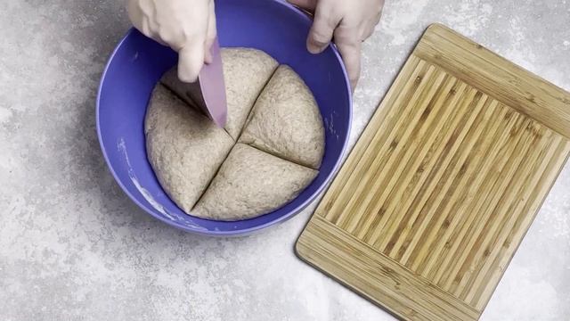 Наука о Животных и их Поведение