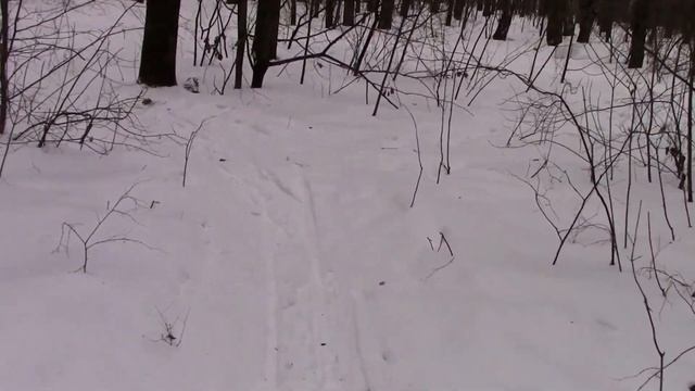 Похудение Димона. День 15 -16. Приготовление мяса и рыбы. Dimon's Slimming. Day 15 -16. смотреть онлайн