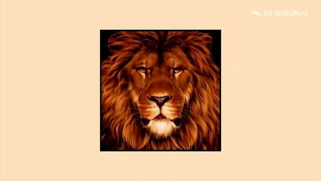 Лев и мышь (картинка перевертыш) смотреть онлайн