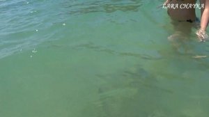 Камала бич, пляж куда хочется вернуться. Таиланд Пхукет 2023.