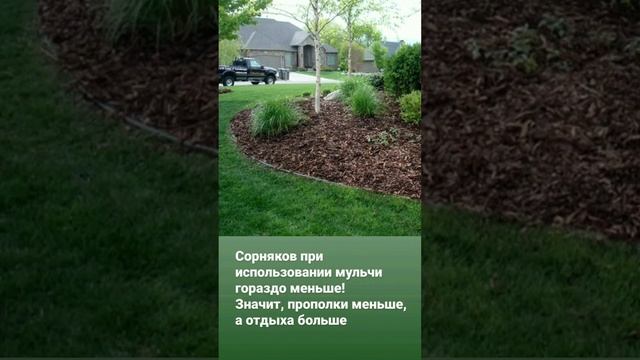 Ландшафтный дизайн на своем участке #ланшафныйдизайн #гортензия#ирисы #пузыреплодник смотреть онлайн