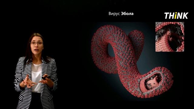 Многообразие форм жизни | Подготовка к ЕГЭ по Биологии смотреть онлайн