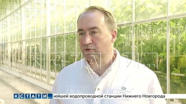 Чтобы успокоить протестующих жителей, тепличный комплекс организовал пресс-тур для журналистов смотреть онлайн