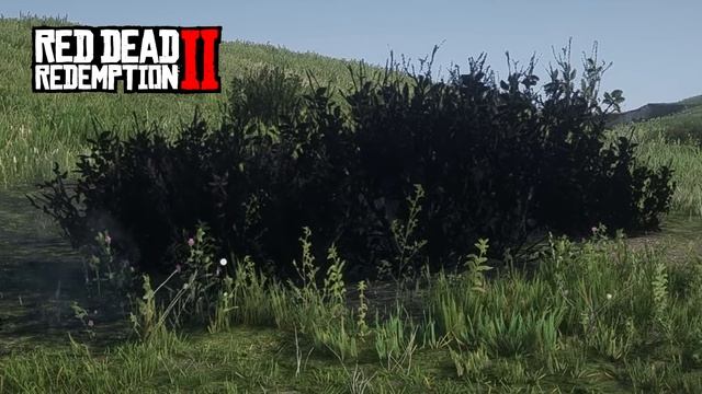 RDR2 vs. The Last of Us 2 | Ultimate Face-Off ? смотреть онлайн