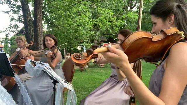 Le violon - Gardel - Por una cabeza смотреть онлайн
