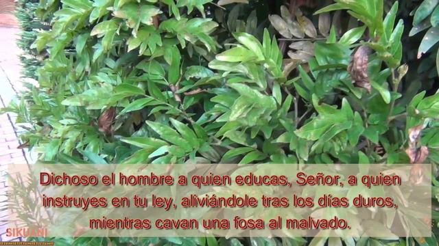 Salmo 94 (93) (sin voz) смотреть онлайн