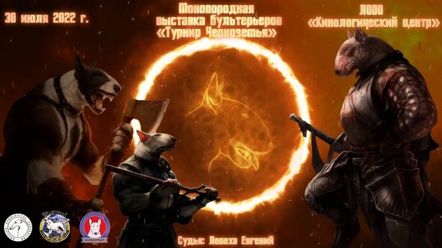 промо Dog Show / моно бультерьеров