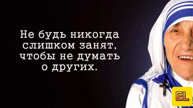 Мудрые цитаты смотреть онлайн