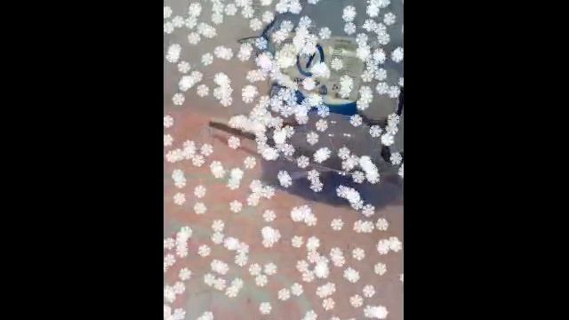 Кормушка для птиц! СВОИМИ РУКАМИ! смотреть онлайн