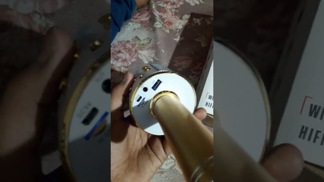 Wireless mic (WS-858) смотреть онлайн