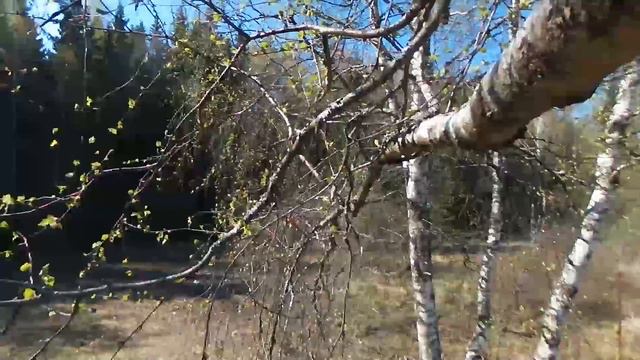 Bebop Drone first fail смотреть онлайн