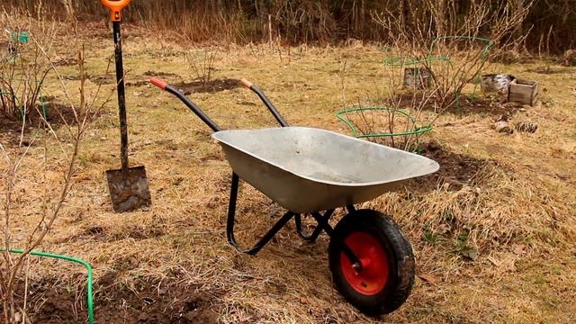 КАБАЧОК. Для хорошего урожая надо... Урок №13 смотреть онлайн