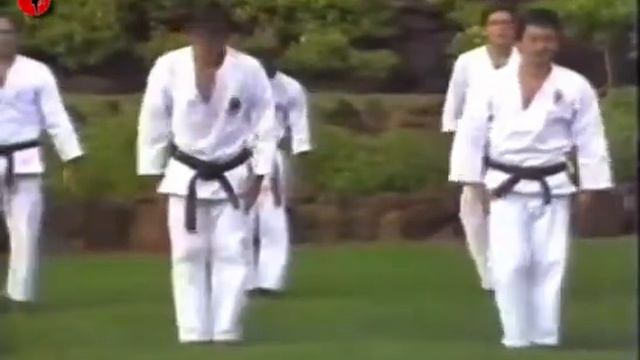 Kenneth Funakoshi Kumite Technique Part1 (Кеннет Фунакоши - техника кумитэ)