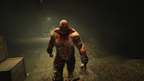 стрим по oytlast