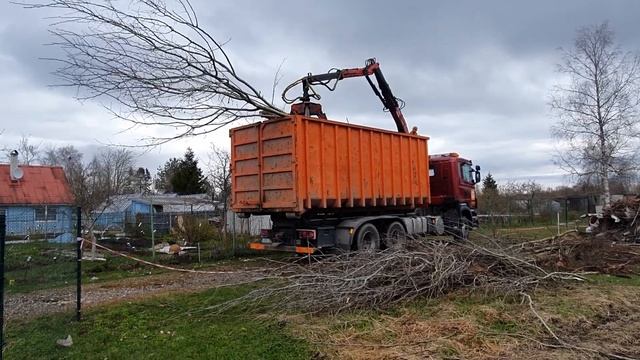 Утилизация веток деревьев Таллинн. смотреть онлайн