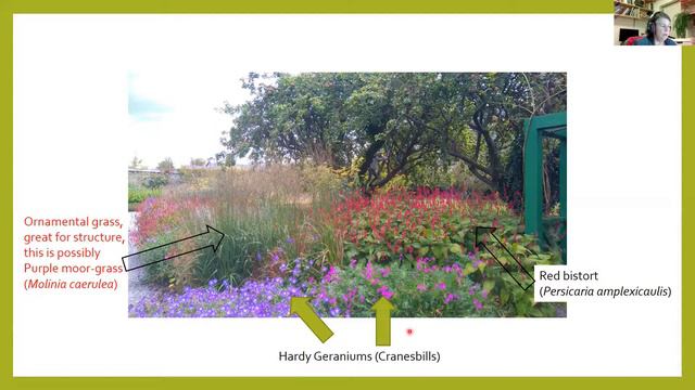 fnl TT Webinar Nature and Biodiversity in Your Locality смотреть онлайн