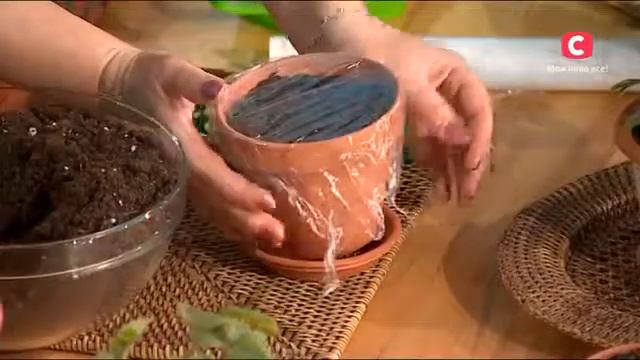 videoplayback смотреть онлайн