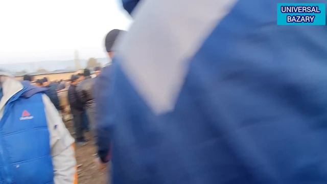 Ноокат Мал Базары 30-Октябрь смотреть онлайн