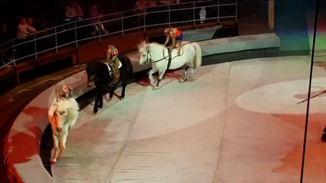 ЦИРК. ПАРАД АЛЛЕ смотреть онлайн