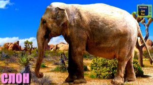 Животные для детей | Учим название и голоса животных Африки| Учим животных Африки | Звуки животных